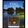 PTÁCI LEDNICKÝCH RYBNÍKŮ