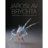 JAROSLAV BRYCHTA (Monografie autorovi tvorby) Poslední kusy v  ČR!!!!