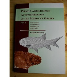 Permo - Carboniferous...