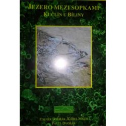 Jezero mezi sopkami Kučlín...