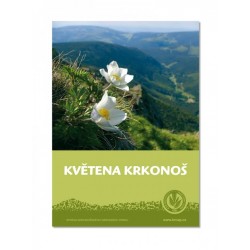 Květena v Krkonoších